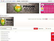 Tablet Screenshot of findikkulucka.com